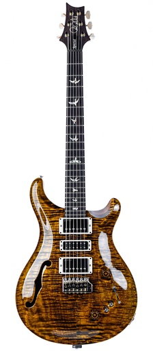 ギター PRS SPECIAL 22 SEMI-HOLLOW (2023) PRS Special 22 Semi Hollow Yellow Tiger | The Fellowship of Acoustics